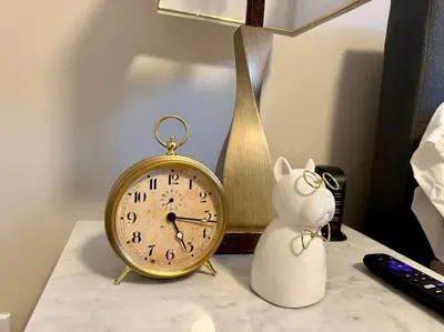 a clock sitting on top of a table next to a cat at Parma Ranch with Hot Tub and Game and Media Room in Parma