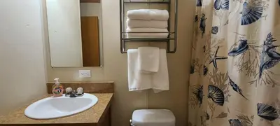 a bathroom with a sink and a toilet and a mirror at The Lake House in Hillsboro