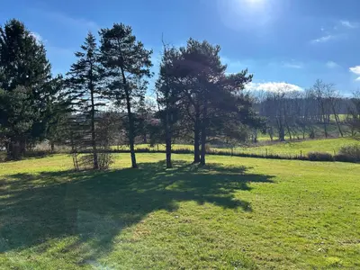 two trees in the middle of a field at The House On Kings Corner in Mansfield