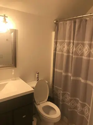 a bathroom with a toilet and a shower curtain at Papa & Gigi's Lake Front Home in Port Clinton