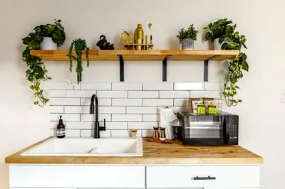 a kitchen counter with a sink and some plants at Jungle House Columbus Downtown Free Parking Sleeps 8 - Near Convention Center & Nationwide Arena - 2BR Luxury Home - Pet Friendly Over 5,800 Five Star Stays in Columbus