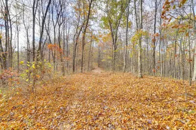 a road covered in leaves in the woods at Shared Pond and Trails Rosedale Cottage! in Rosedale
