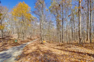 a dirt road in the middle of a forest at Shared Pond at Retreat in Rosedale! in Rosedale