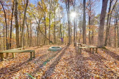 a row of picnic tables in the woods at Hike and Picnic at Group Getaway in Rosedale! in Rosedale