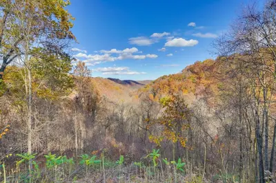 a view of a forest of trees in the fall at Hike and Picnic at Group Getaway in Rosedale! in Rosedale