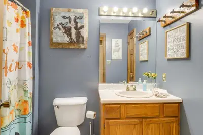 a bathroom with a toilet and a sink and a mirror at 34 Mi to Ark Encounter Kentucky Family Farmhouse in New Richmond
