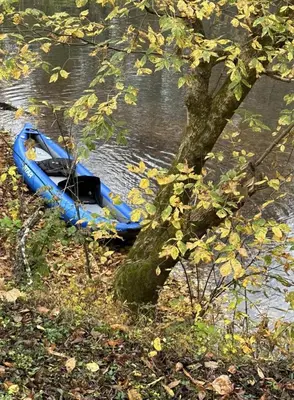 a blue boat in the water next to a tree at Covered Bridge Hideaway, swimming hole hot tub in Stanton