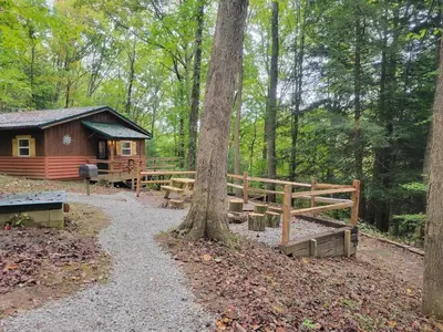 a cabin in the woods next to a tree at Mountainside Cabin, Secluded, Hot Tub, Lake Accessible in Rockbridge