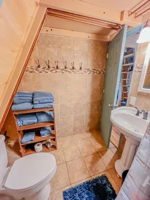 a bathroom with a shower and a toilet and a sink at Lake Life, Hocking Hills, Hot Tub, Fireplace, Pond in Rockbridge