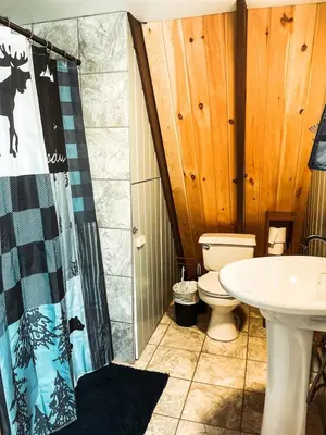 a bathroom with a toilet and a sink at Whispering Waters, Hocking Hills, Hot Tub, Pond in Rockbridge