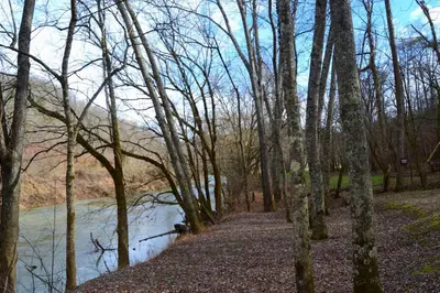 a path through a forest next to a river at Sleepy Bear Cabin, Red River Gorge, KY, River Access & Views in Stanton