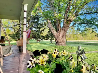 a porch with a bunch of flowers and a tree at Scippo Creek Farm in Circleville