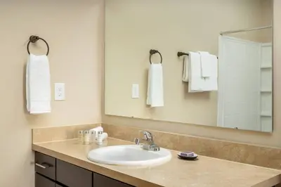 a bathroom with a sink and a mirror and towels at The New Albany Perch Top Floor Pet-Friendly! in Westerville