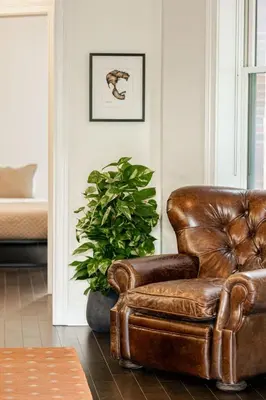 a brown leather chair in a living room with a plant at Lux Washington-Park Rooftop Patio-Free Parking in Cincinnati