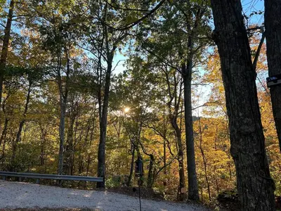 a forest with the sun shining through the trees at Cherokee Cabin-Cave Run Lake and Cliff Views-Red River Gorge in Big Woods