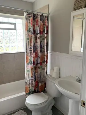a bathroom with a toilet and a sink and a shower curtain at 2 Homes for large group Hot Tub in Mason
