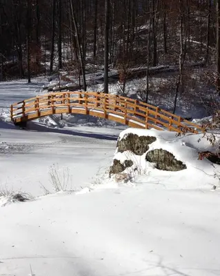 a wooden bridge in a snow covered park at The Secluded Woodbury Cabin, Pond and 42 acres in Warsaw