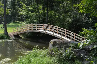a wooden bridge over a river in a park at The Secluded Woodbury Cabin, Pond and 42 acres in Warsaw