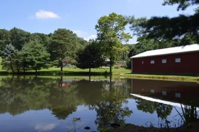 a pond with a red barn and a building at Mohican Farmhouse, Pond, and Animals in Perrysville