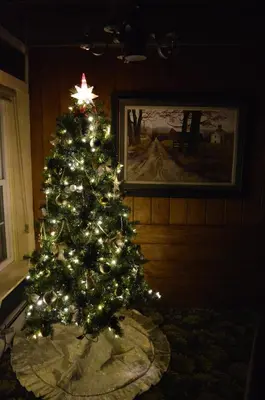 a christmas tree with lights in a room at Mohican Farmhouse, Pond, and Animals in Perrysville