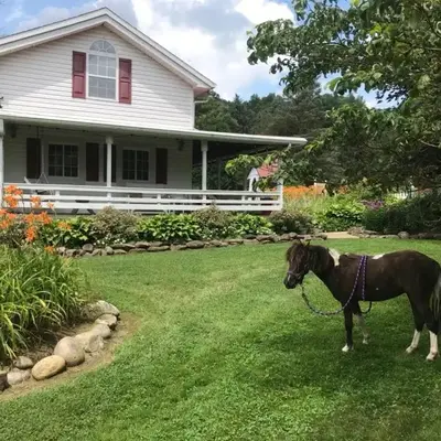 Mohican Farmhouse