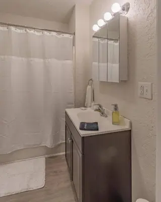 a bathroom with a sink and a mirror and a shower at University Suite 