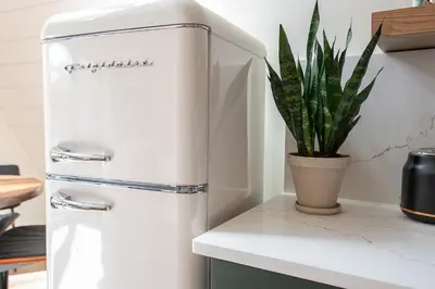 a white refrigerator in a kitchen with a potted plant at Cherry Hollow in McArthur