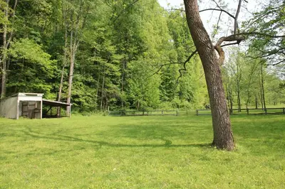 a tree in a field with a gazebo at East Fork Acres in Logan