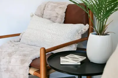 a table and a chair with a potted plant at Remodeled 4 Bedroom With a Game Room in Parma
