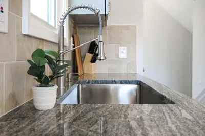 a kitchen with a sink and a potted plant at Remodeled 4 Bedroom With a Game Room in Parma