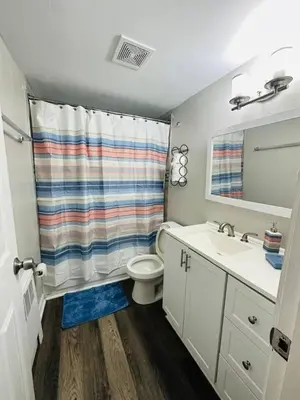 a bathroom with a sink and a toilet and a shower at Cozy Retreat Apartment in Cincinnati