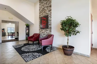 a waiting room with two chairs and a potted plant at Red Roof Inn Carrollton in Carrollton