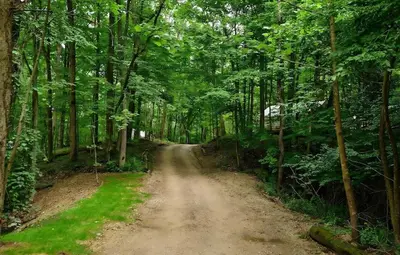 a dirt road in the middle of a forest at Valley Overlook in Peninsula