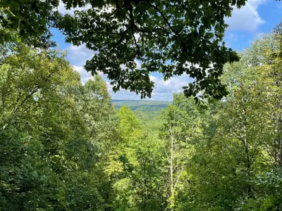 a view of the forest from the top of a hill at Valley Overlook in Peninsula