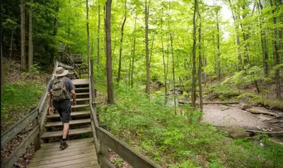 a man walking on a wooden trail in the woods at NEW Renovated Near CLE - King Bed, Metropark & Firepit in Berea