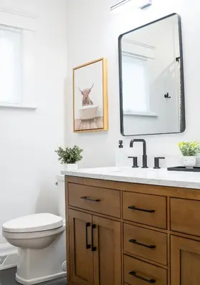 a bathroom with a sink and a toilet and a mirror at Little Gem in Millersburg