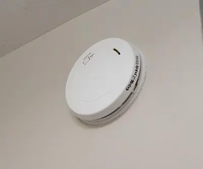 a white frisbee sitting on top of a table at Little Gem in Millersburg