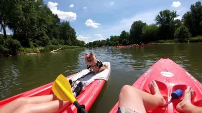 a dog in a kayak on a river at Cozy Tiny House on Working Farm, for Fun Glamping Trips in Kentucky in Owenton