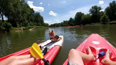 a dog in a kayak on a river at Cozy Tiny House on Working Farm, for Fun Glamping Trips in Kentucky in Owenton