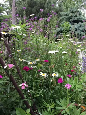 a garden filled with lots of colorful flowers at Charming Cabin Rental with a Hot Tub near Cedar Point and Lake Erie in Ohio in Bellevue