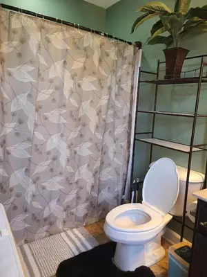 a bathroom with a toilet and a shower curtain at Charming Escape Haven in Lexington