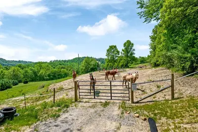 a group of horses standing behind a fence at Gorgeous Caravan Glamping Escape for Four in Dover, Ohio in Dover