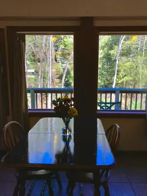 a dining room table with a vase of flowers on it at Cozy Studio Cabin Rental with Hot Tub Perfect for Glamping in Ohio in Logan