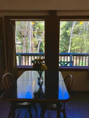 a dining room table with a vase of flowers on it at Cozy Studio Cabin Rental with Hot Tub Perfect for Glamping in Ohio in Logan
