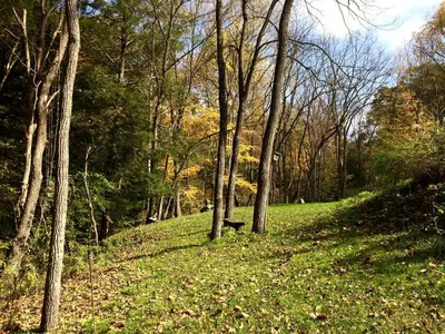 a grassy hill with a bench in a forest at Cozy Studio Cabin Rental with Hot Tub Perfect for Glamping in Ohio in Logan