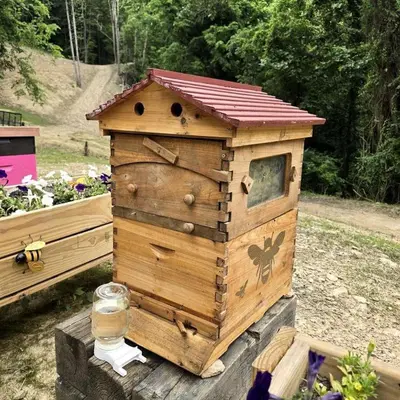 a wooden bird house sitting on a stump at Remote Mountain A-Frame with BBQ Perfect for Nature Lovers in West Virginia in Charleston