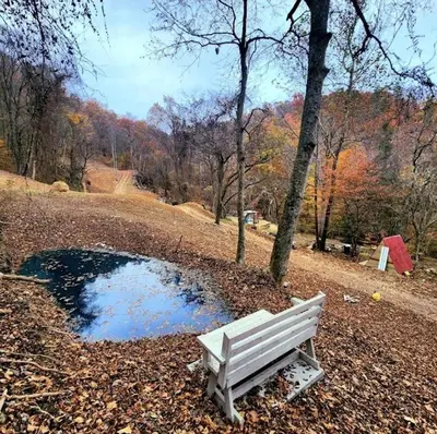 a park bench sitting in front of a pond at Remote Mountain A-Frame with BBQ Perfect for Nature Lovers in West Virginia in Charleston