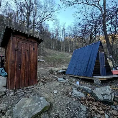 a smallshed with a blue roof sitting in the woods at Remote Mountain A-Frame with BBQ Perfect for Nature Lovers in West Virginia in Charleston