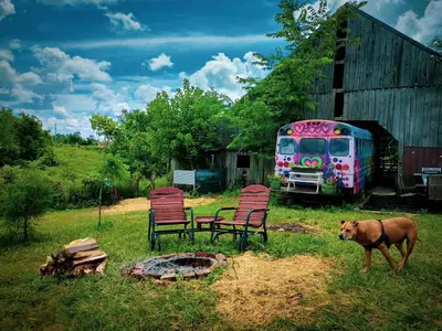 a dog standing next to two chairs and a bus at Cozy Hot Tub “Love Bus” near Augusta, Kentucky in Germantown