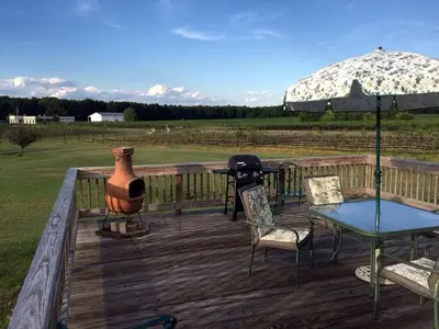 a deck with a table and chairs and a grill at Charming Weekend Getaway Located on a Vineyard near Cleveland, Ohio in Berlin Center